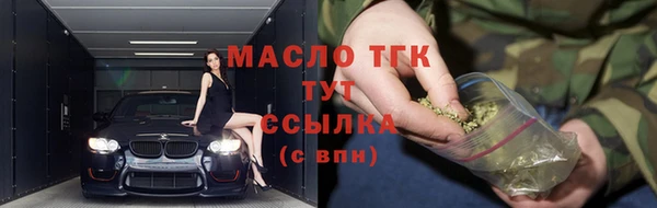 крисы Тында